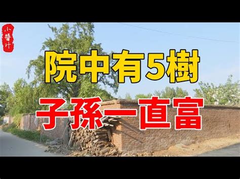 後院種什麼樹|【屋後種樹】屋後種樹，好運臨門？專家解答屋前屋後的樹木風水。